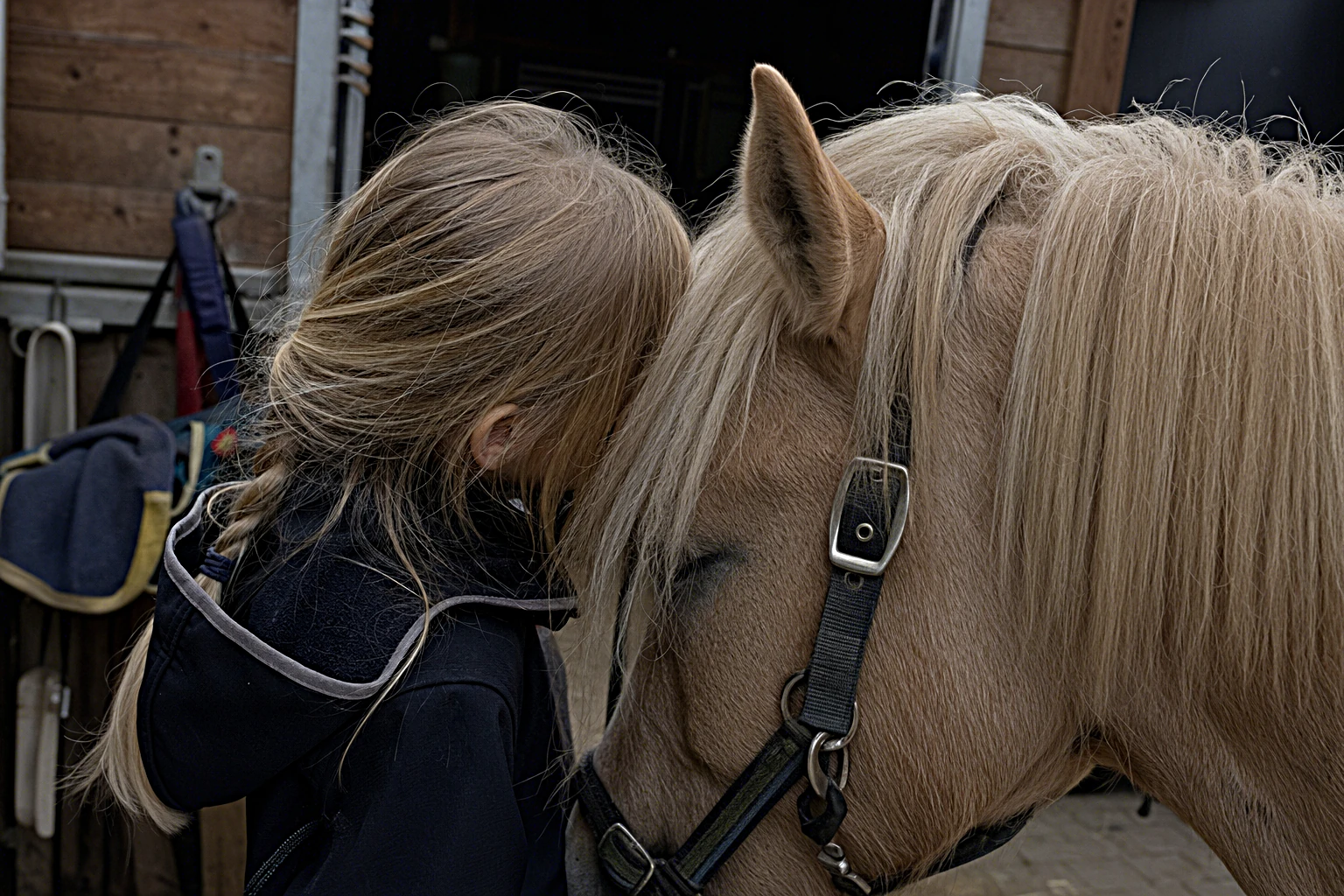 Kind fluestert dem Pony etwas am Ohr, ruhige Stallsituation