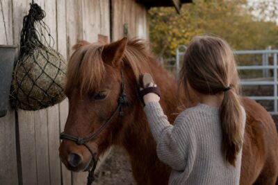 Reittherapie Tanja Wilms